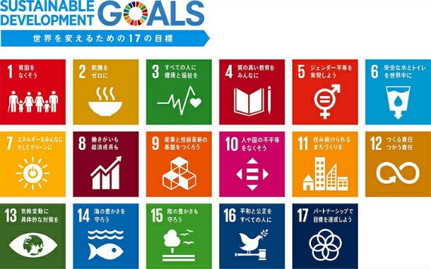 SDGs ピンバッジ 日本未発売 国連 目標 正規品 17 2個 バッチ sdgs