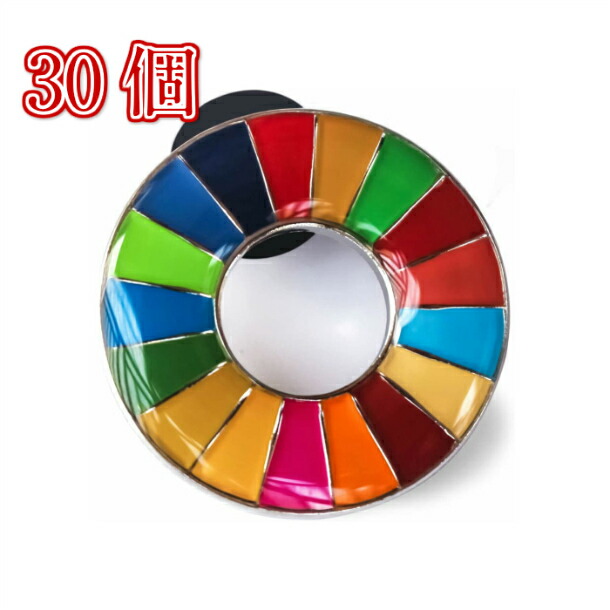 【正規販売店】 【国連本部限定販売】 SDGs ピンバッジ 日本未発売 UNDP 丸みタイプ 30個 バッチ 国連 おすすめ 正規品 sdgs 17 目標 公式