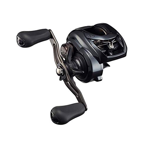 ダイワ(DAIWA) 21 タトゥーラ TW 300XH リール本体-リール