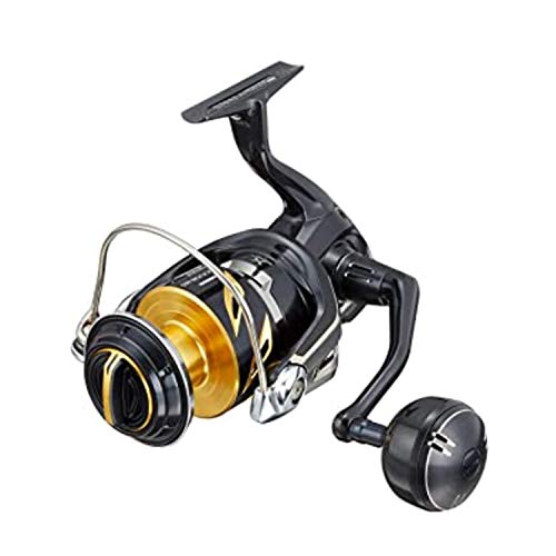 シマノ(SHIMANO) スピニングリール 19 ス テラ SW 8000PG ジギングモデル