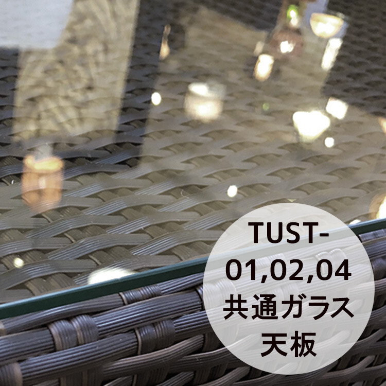 強化ガラス TUST-01 02 04用共通ガラス天板