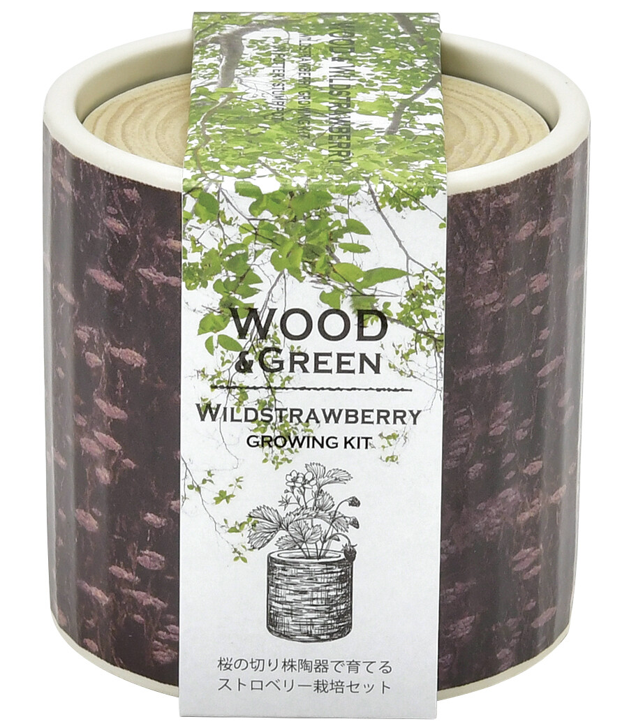 Wood Green ウッド グリーン Gd 6 栽培キット 03 桜 ワイルドストロベリー お部屋になじむナチュラルな栽培ポットに仕 Painandsleepcenter Com