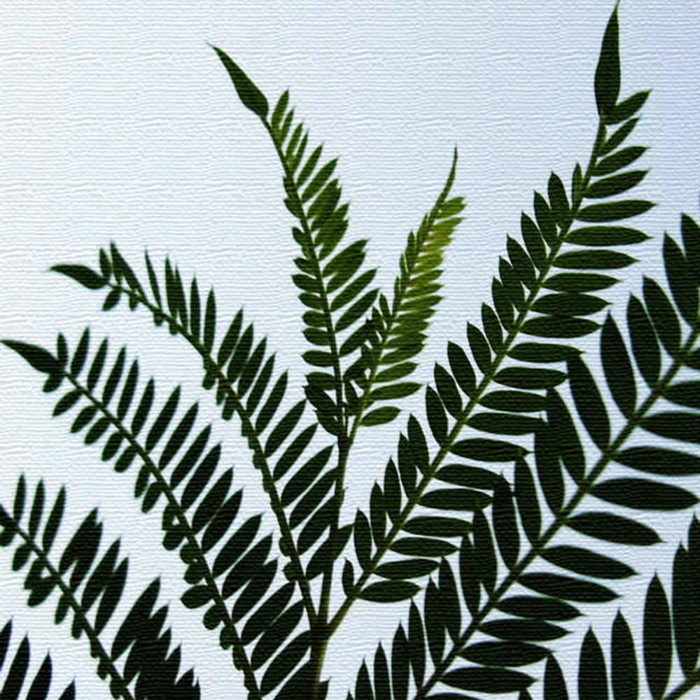 植物のインテリアパネル XLサイズ（100cm×100cm） ウォールアート 壁掛け おしゃれ 北欧 モダン 新築祝い 開店祝い 結婚祝い お洒落 玄関 寝室 リビング 応接室