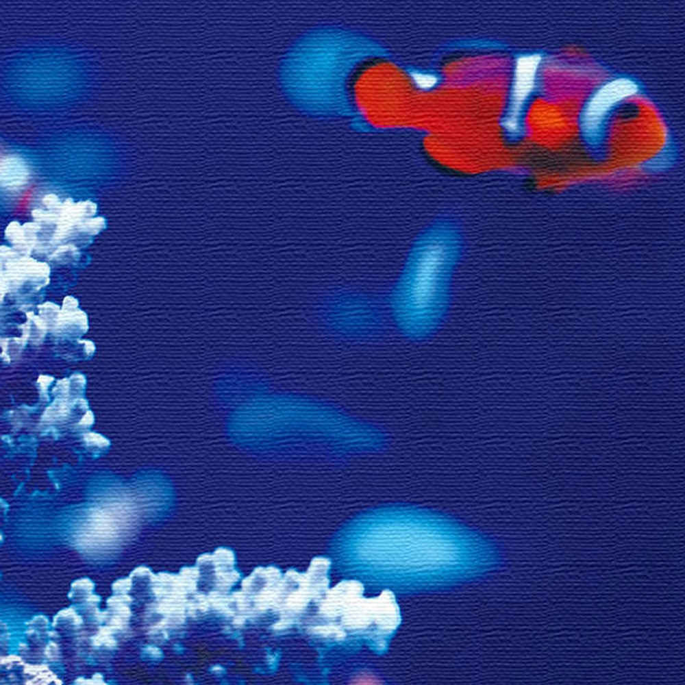 壁掛けインテリアにファブリックパネル/カクレクマノミ XLサイズ（100cm×100cm） ウォールアート 壁掛け おしゃれ 北欧 モダン 新築祝い 開店祝い 結婚祝い お洒落 玄関 寝室 リビング 応接室