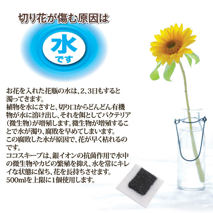 切花延命材 ベッド