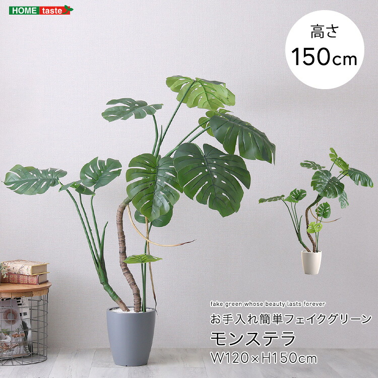 お手入れ簡単フェイクグリーン モンステラ Mサイズ(150cm)|ベッド・家具通販furniture store