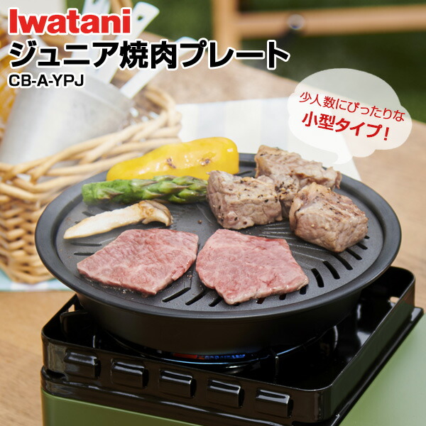 Amazon.co.jp: 錆びに強い！ ステンレス 製 5ミリ イワタニ CB-P