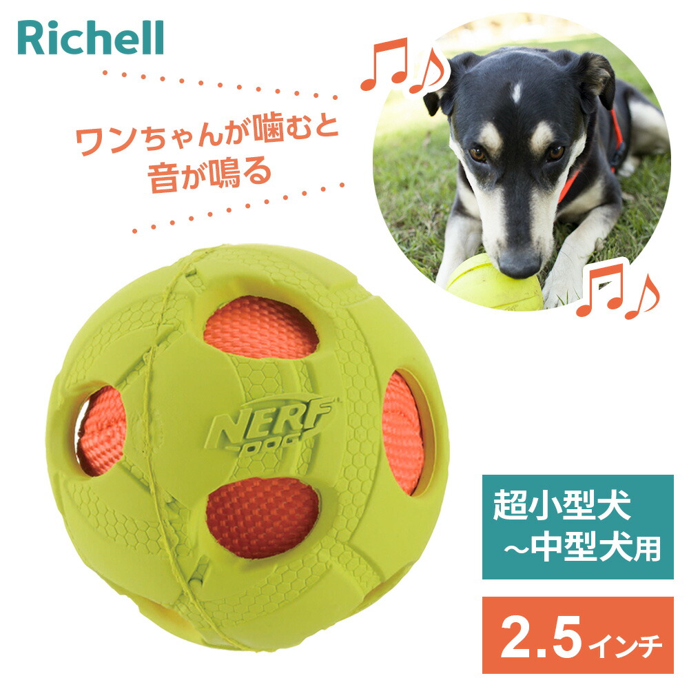 犬っころ standstones むちむちわんこ