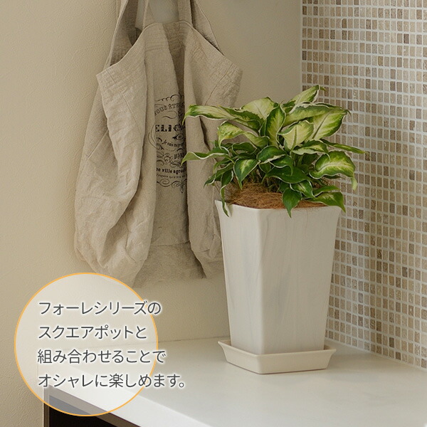 リッチェル フォーレ スクエアプレート 8号 受け皿 プレート 角 プランタープレート 四角 角型 プラスチック ナチュラル プランター 鉢 スクエア 園芸鉢 おしゃれ ガーデニング 鉢植え 高価値 日本製