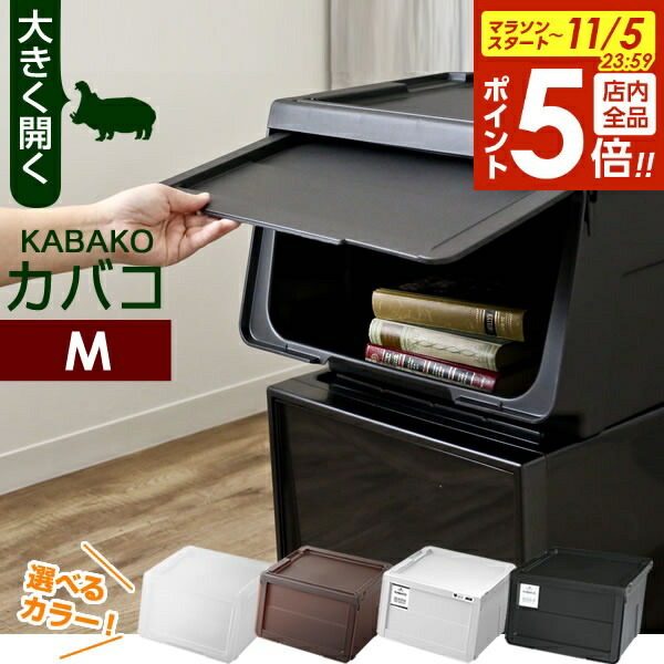 プロフィックス カバコ　収納ケースセット 天馬 収納ケース 衣装ケース プロフィックス カバコ モノ M