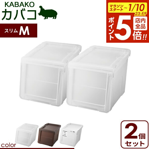 楽天市場】【1/10 全品ポイント5倍】収納ケース PROfix カバコ L 6個