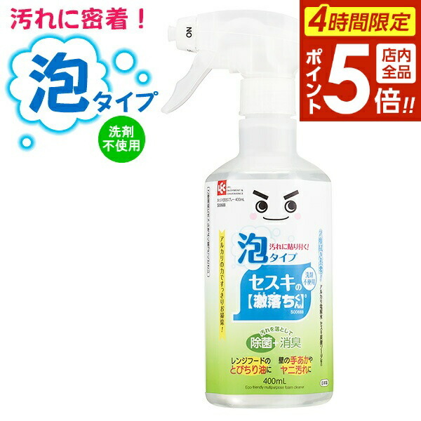 楽天市場】【本日20時〜4時間限定ポイント5倍】激落ちくん GN