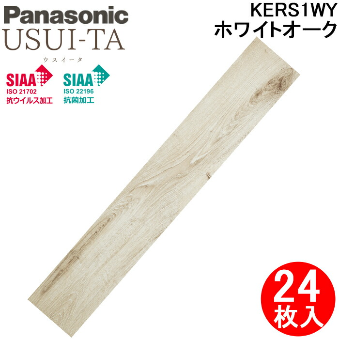 洛電市場とは?