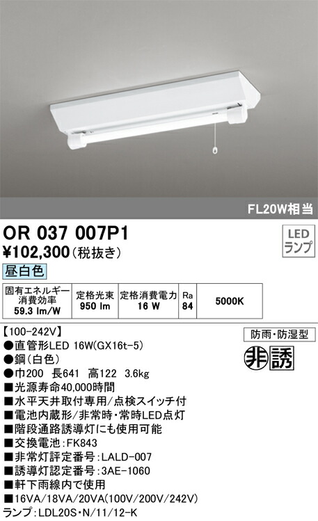 洛電市場とは?