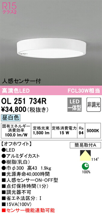 洛電市場とは?