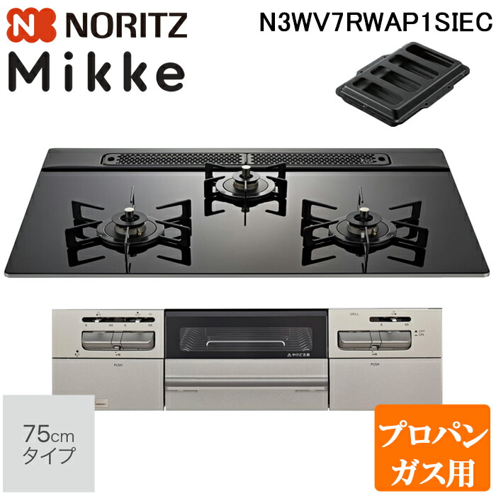 洛電市庭とは?