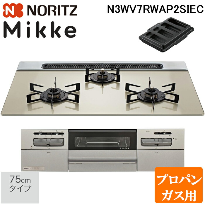 洛電市庭とは?