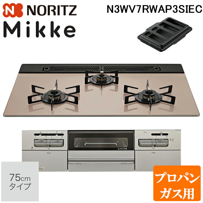 洛電市庭とは?