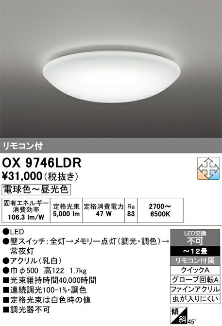 洛電市庭とは?