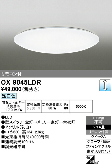 洛電市庭とは?