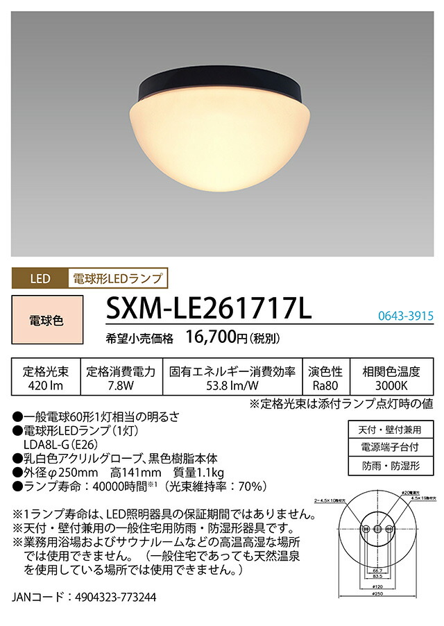 洛電市庭とは?