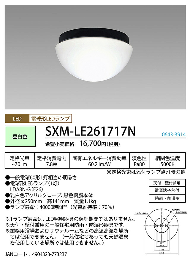 洛電市庭とは?
