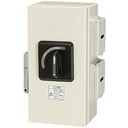 洛電市場とは?