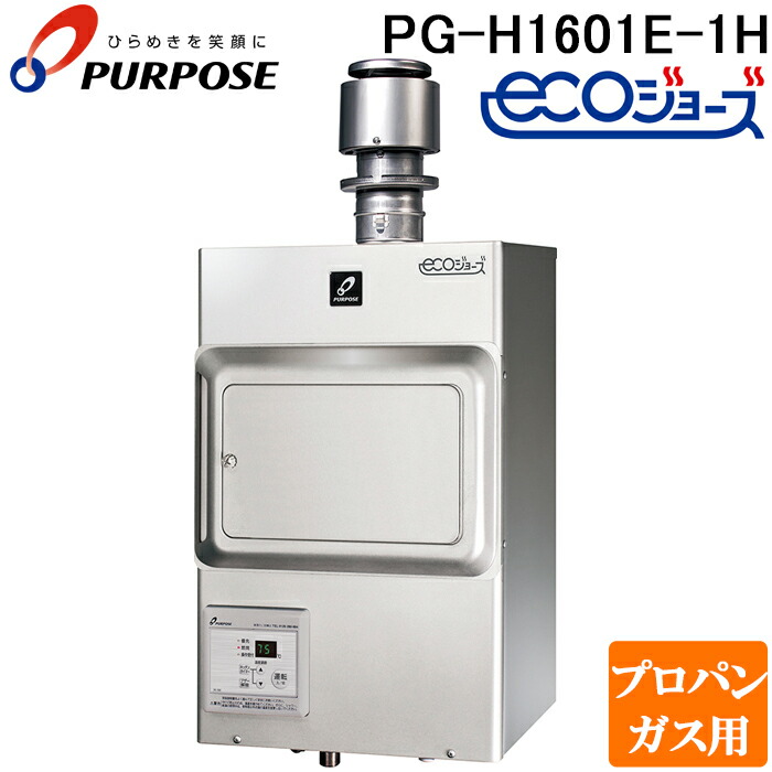 洛電市場とは? 給湯器-家電-ガス給湯器
