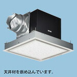 洛電市場とは?
