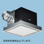 洛電市場とは?
