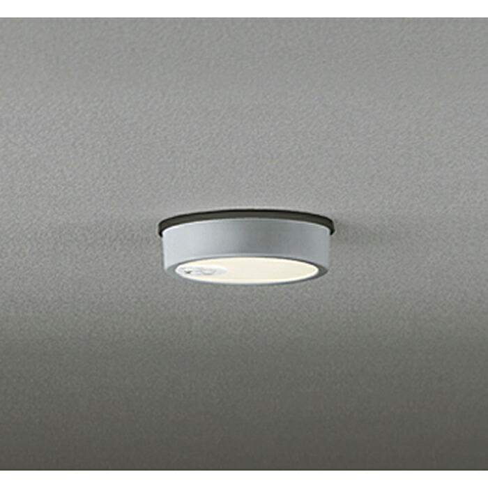 (LINEクーポン有)オーデリック OG254538R 軒下用シーリングライト 白熱灯器具60W相当 人感センサーON-OFF型 電球色 マットシルバー 防雨型 ODELIC
