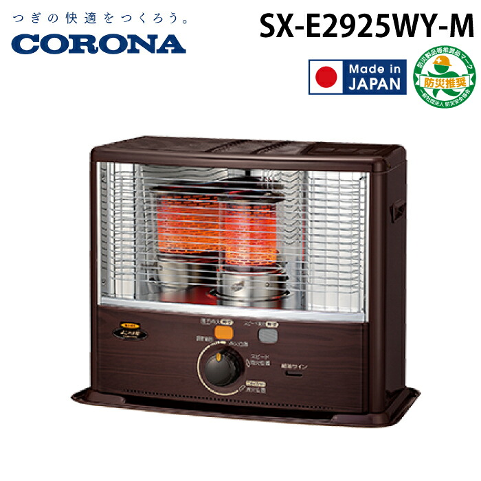 洛電市場とは?