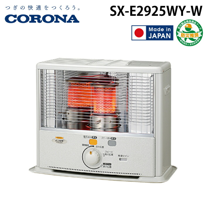 洛電市場とは?