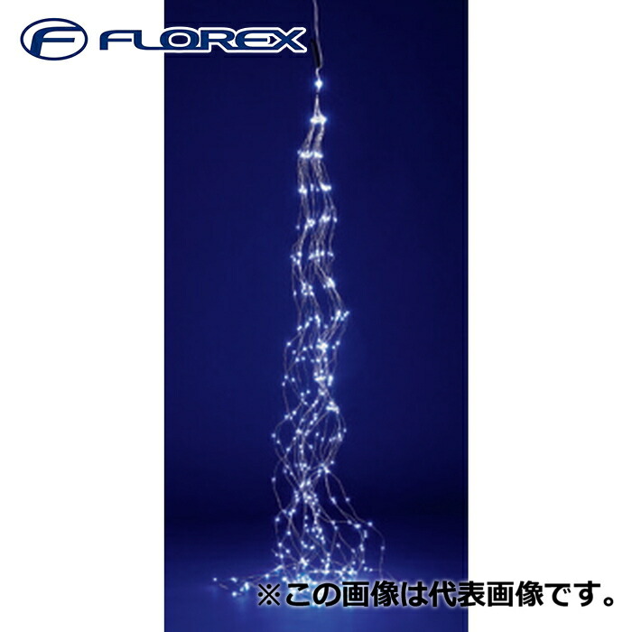 洛電市場とは?