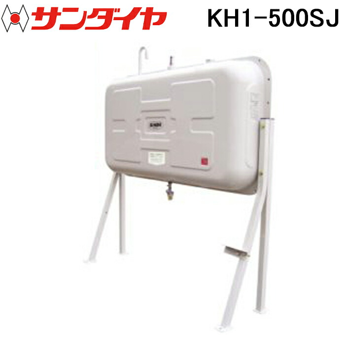 洛電市場とは?