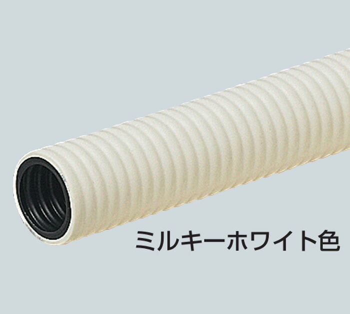 洛電市場とは?