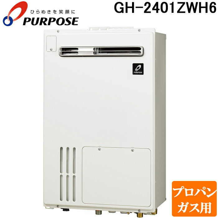 洛電市場とは?