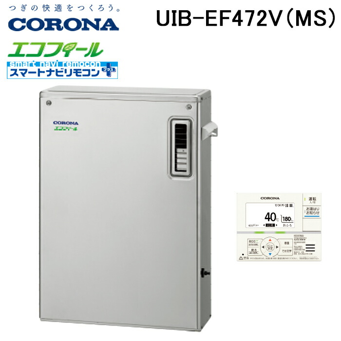 洛電市場とは?