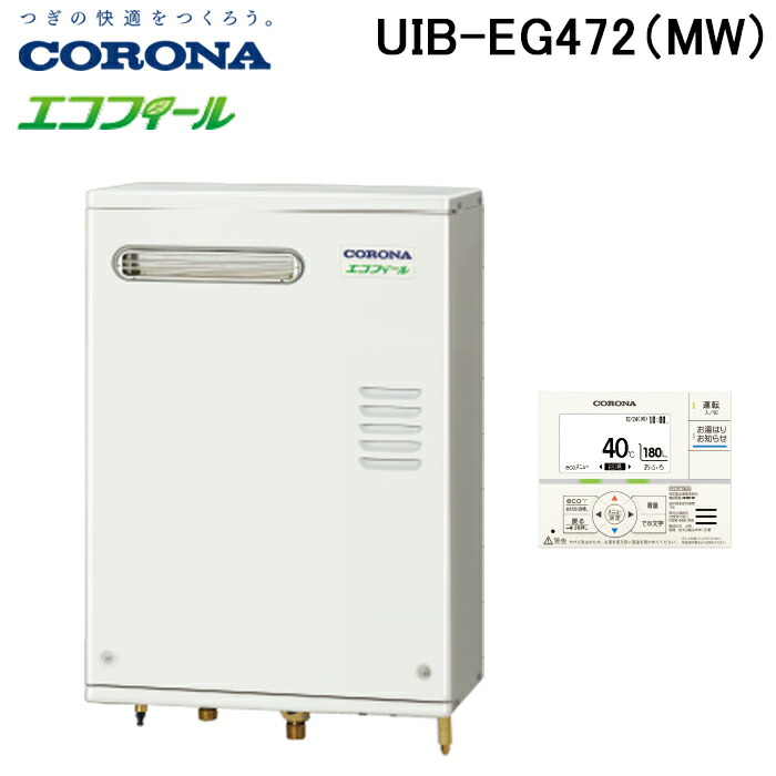 洛電市場とは?