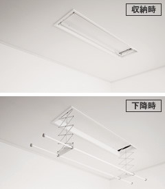 洛電市場とは?