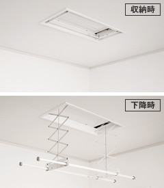 洛電市場とは?