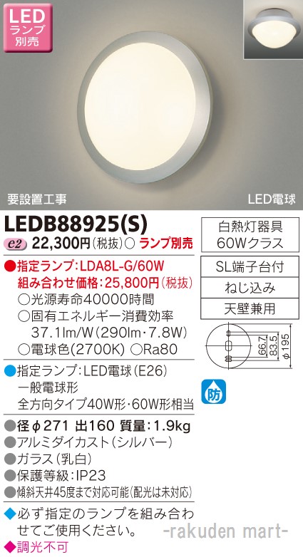 洛電市場とは?