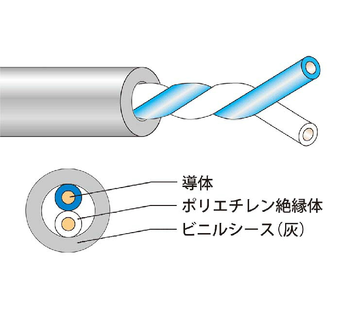 洛電市場とは?