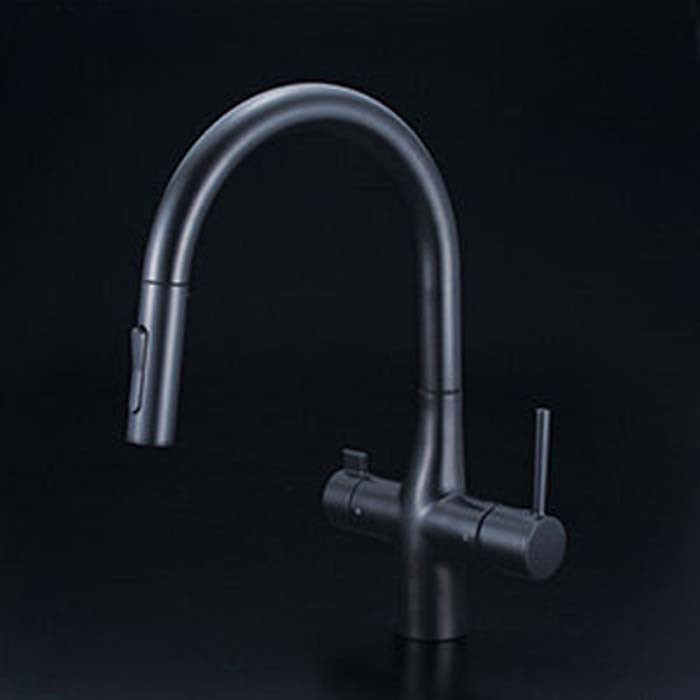 (LINEクーポン有)KVK KM6081SCECM5 ビルトイン浄水器用シングルシャワー付混合栓(ｅレバー)マットブラック(代引不可)