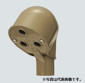 洛電市場とは?