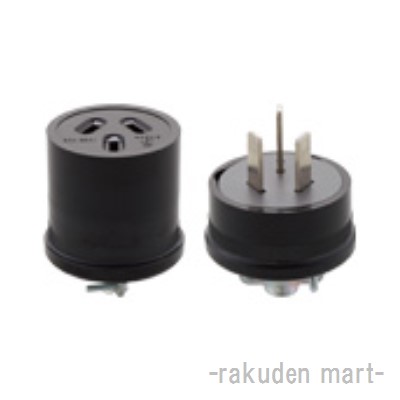 洛電市場とは?