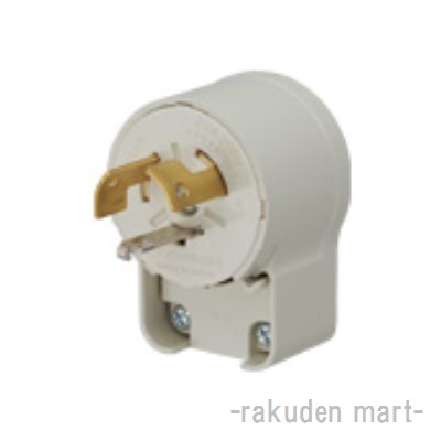 洛電市場とは?