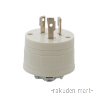 洛電市場とは?