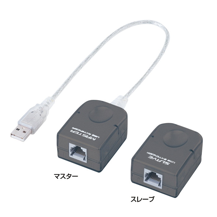 洛電市場とは?