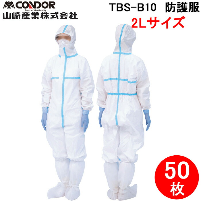 洛電市場とは?